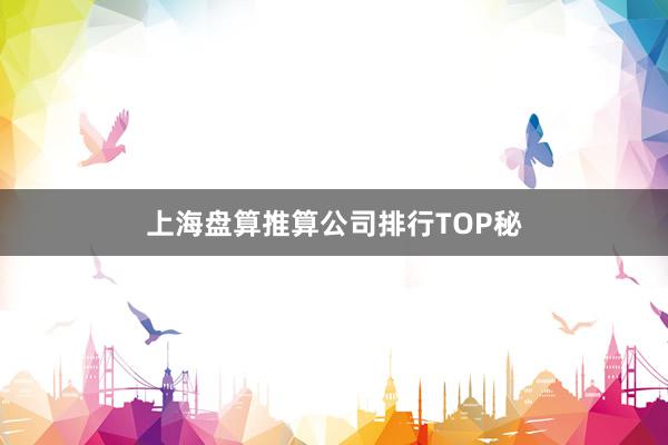 上海盘算推算公司排行TOP秘