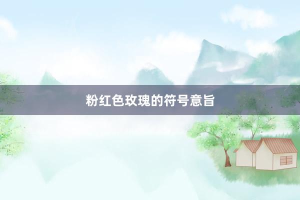 粉红色玫瑰的符号意旨