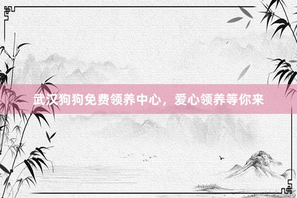 武汉狗狗免费领养中心，爱心领养等你来